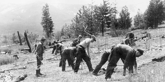 black and white image from The New Deal work program. Workers in a field.