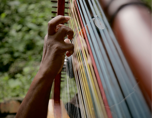 Venezuelan instrument: arpa